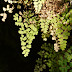 P1270069