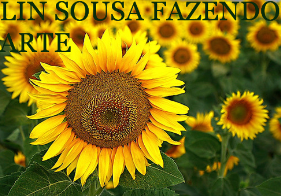 [Nova%2520Imagem%2520%25286%2529%255B3%255D.png]