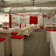 DSC05451.JPG