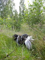 DSCN0385.JPG