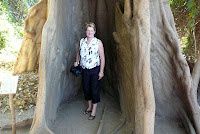 Reis-febr-2011-Krokodillen (16).JPG