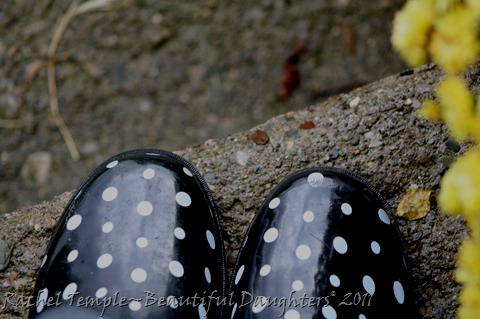 Rachel Temple~Beautiful Daughters© 2011