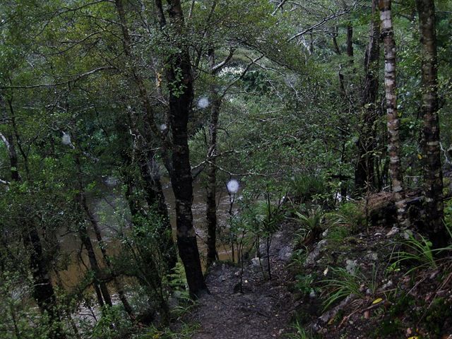 [The%2520Rivendell%2520Forest%255B4%255D.jpg]
