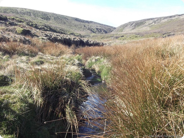 herne clough