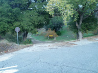 PB252309.JPG Photo