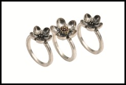 33600366-4,95euros