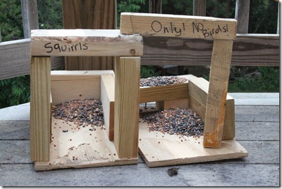 squirrel house plans - pyihome squirrel house plans - pyihome