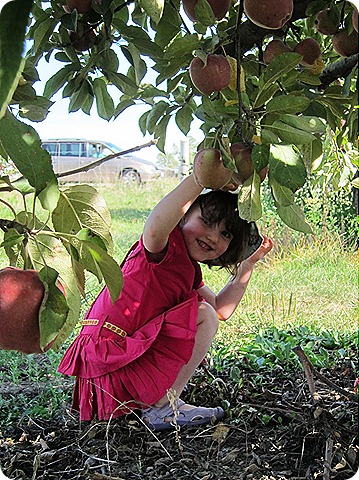 IMG_0582 IMG_0582