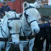 BILD0004.JPG