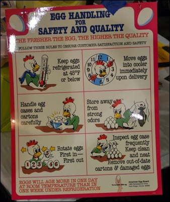 egg safety egg safety