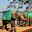 ELEFANT SRI LANKA
