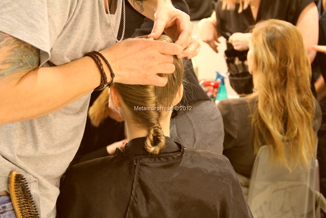 IMG_3359 IMG_3359