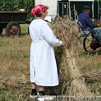 graanoogst-09-049.jpg