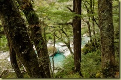 Routeburn-28