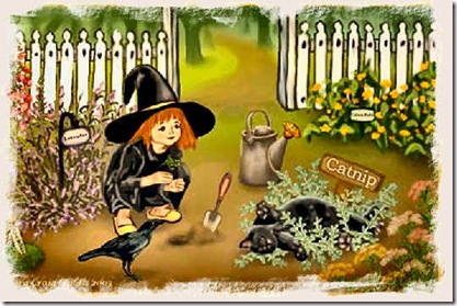 pookaherbgarden pookaherbgarden