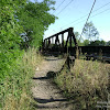 dsc05209.jpg