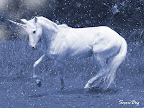 Snow-Unicorn.jpg