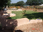 p1282571922(3).jpg