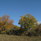IMG_2298.jpg