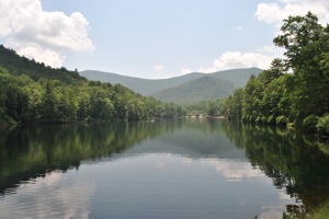 DSC_0295.JPG DSC 0295