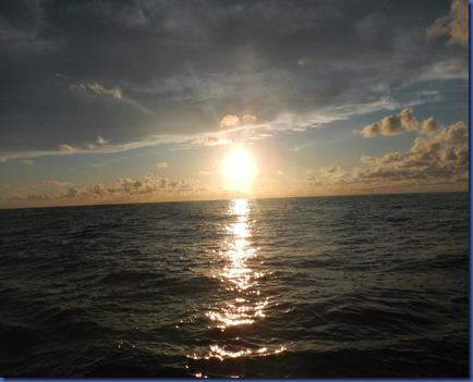DSCN0094 DSCN0094