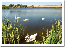 Fantastic Countryside to Explore on Your Break