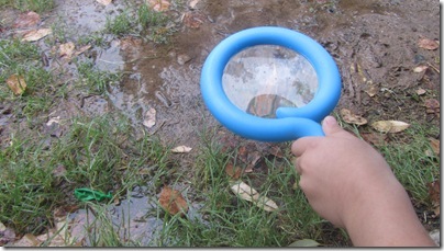 Mombo Sanke Magnifying Glass