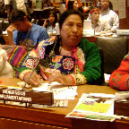 United Nations 2010