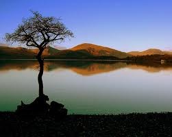 [serenity-landscape%255B3%255D.jpg]