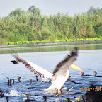 IMG_3801.JPG