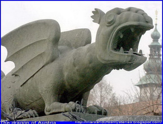 dragon of austria 560