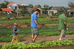 Hoi An, Vietnam 070.JPG