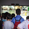 IMGP5553.JPG