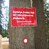 2011.05.24. - Stol