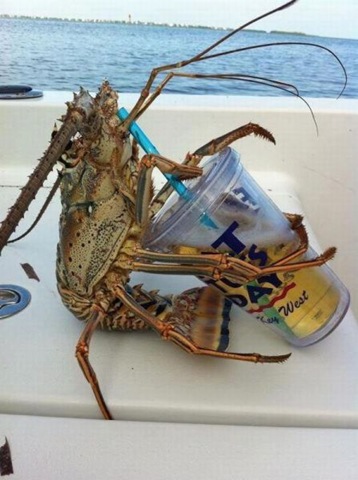 [viral-picdump-pics-49%255B2%255D.jpg]