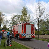 IMG_7867.jpg