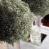 simple vase displat - all white.jpg