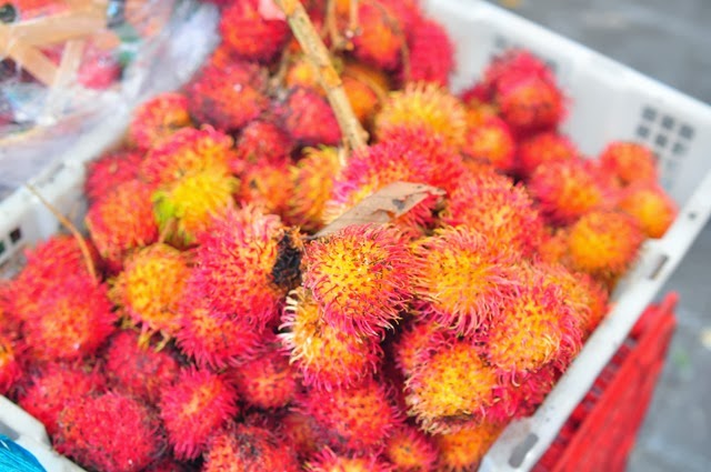 [DSC_0163%255B3%255D.jpg]