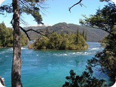 Esquel_Los_Alerces_National_Park