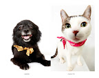 Samson and Charlotte...
waiting to be adopted at The Humane Society of New York. 
See link at end of blog post for more details.
Photo by Richard Phibbs.