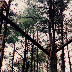 Adventure Centre History - 081.jpg