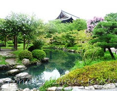 templo Toji - jardim - lago 4