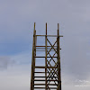 dsc05270.jpg