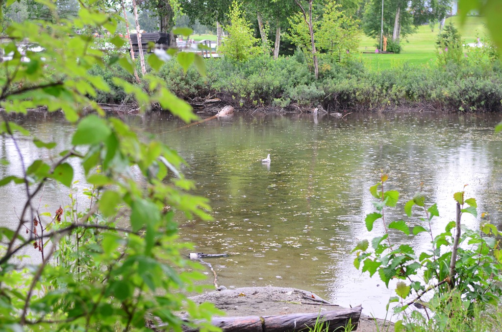 [Parks-HWY-Day-19_22094.jpg]