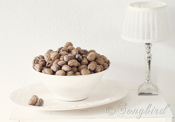 [Bowl-with-Walnuts-112.jpg]