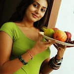 Namitha Hot (6).jpg