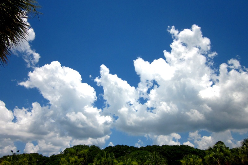 [IMG_2290%255B4%255D.jpg]