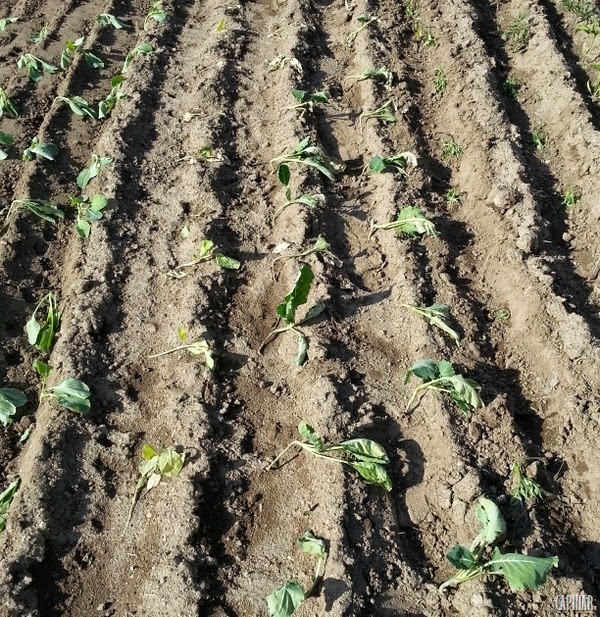 [20130515_173612%255B10%255D.jpg]