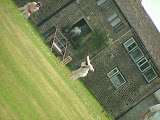 DSCF3619.JPG
