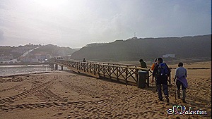 [P11201698.jpg]